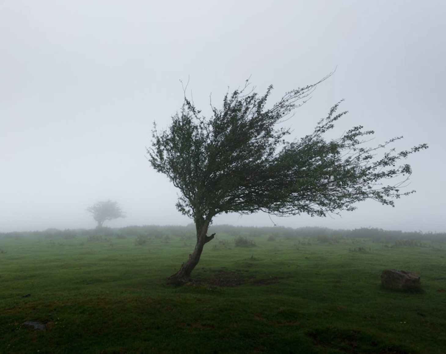 Captura de Tela 2025-11-29 às 19.46.10